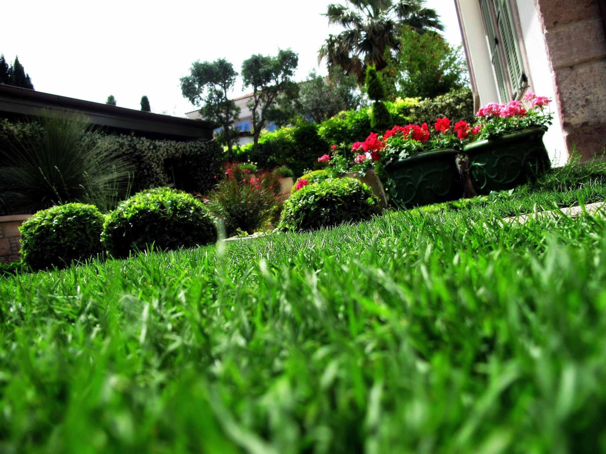 Nisi Hotel (Adults Only) Ayvalı Exterior foto